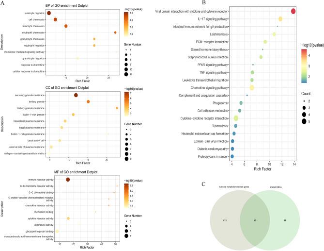 https://cdn.ncbi.nlm.nih.gov/pmc/blobs/cdf5/11237055/e543032f84ff/41598_2024_66574_Fig3_HTML.jpg