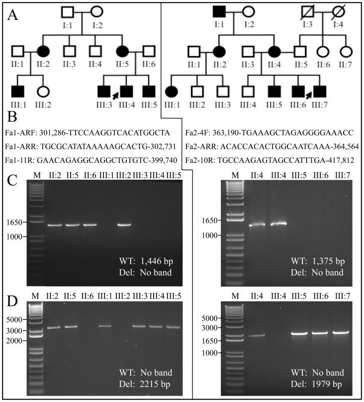 https://cdn.ncbi.nlm.nih.gov/pmc/blobs/cdf7/3522662/ae12b44029e4/pone.0052052.g007.jpg