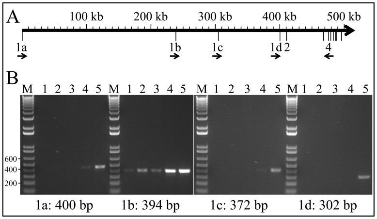 https://cdn.ncbi.nlm.nih.gov/pmc/blobs/cdf7/3522662/e303419d35f8/pone.0052052.g009.jpg