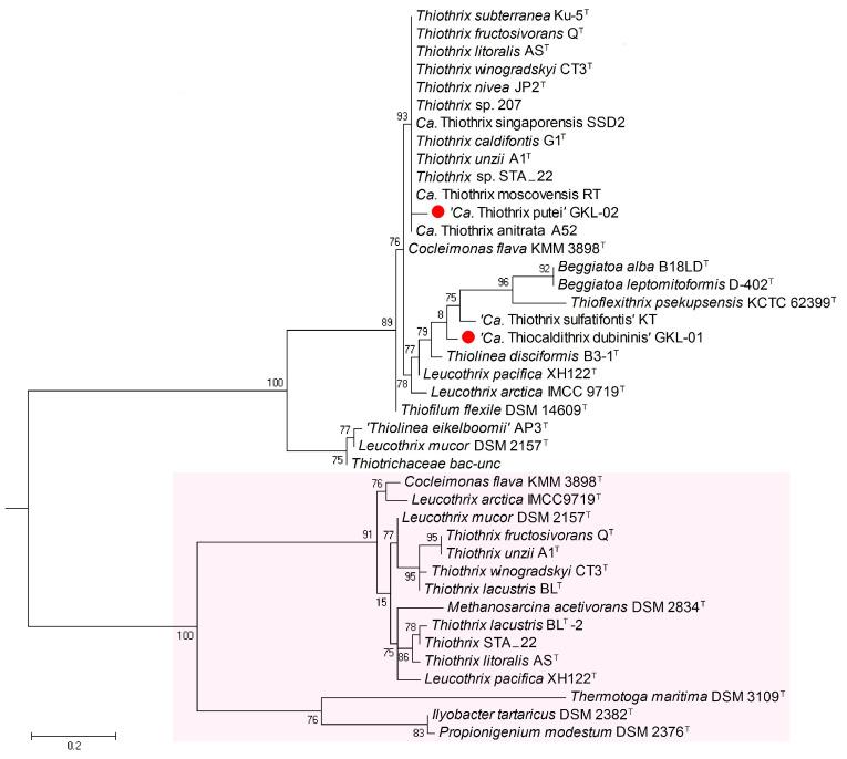https://cdn.ncbi.nlm.nih.gov/pmc/blobs/cdf8/10532065/9e6c866a7b2c/ijms-24-14199-g006.jpg
