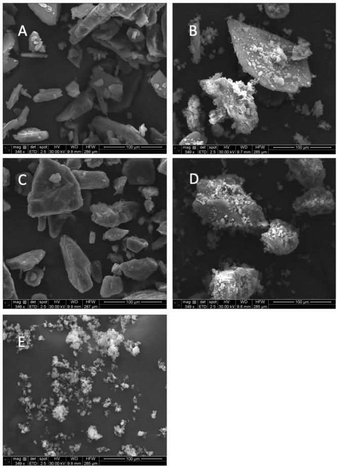 https://cdn.ncbi.nlm.nih.gov/pmc/blobs/cdf8/11510369/4cf129ed72a2/pharmaceutics-16-01269-g002.jpg