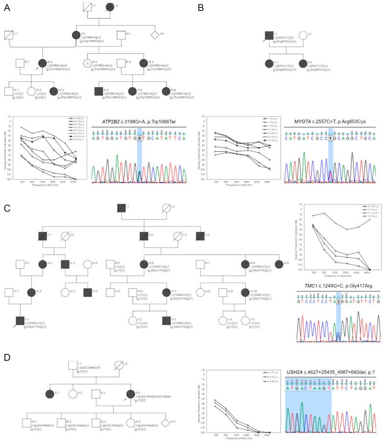 https://cdn.ncbi.nlm.nih.gov/pmc/blobs/cdfc/9181477/92215c885fbf/ijms-23-06029-g003.jpg