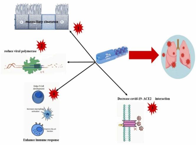 https://cdn.ncbi.nlm.nih.gov/pmc/blobs/cdfc/9297660/b16dfd2e4341/gr6_lrg.jpg