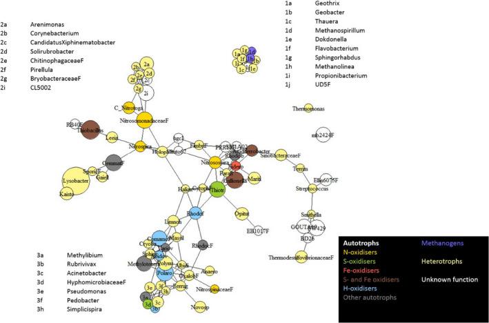 https://cdn.ncbi.nlm.nih.gov/pmc/blobs/cdfd/8289488/27a639605a83/MBO3-10-e1200-g002.jpg