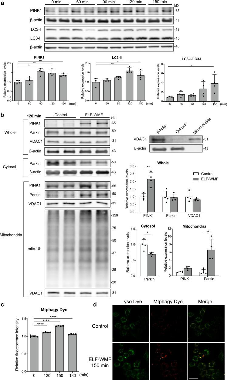 https://cdn.ncbi.nlm.nih.gov/pmc/blobs/cdfd/9098439/187f6f0c69a4/42003_2022_3389_Fig4_HTML.jpg