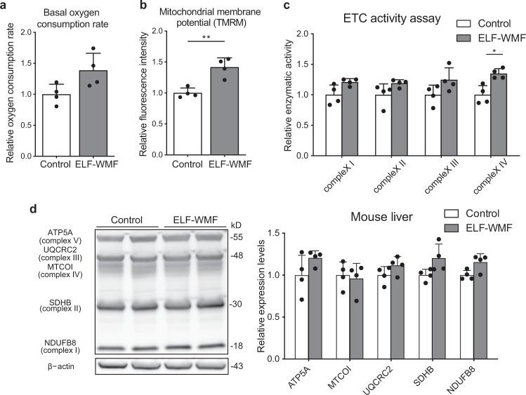 https://cdn.ncbi.nlm.nih.gov/pmc/blobs/cdfd/9098439/3aaffd241585/42003_2022_3389_Fig1_HTML.jpg