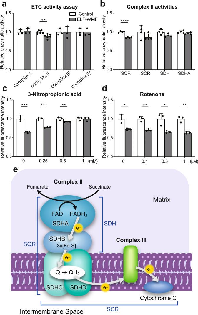 https://cdn.ncbi.nlm.nih.gov/pmc/blobs/cdfd/9098439/8f285f5a68f5/42003_2022_3389_Fig6_HTML.jpg