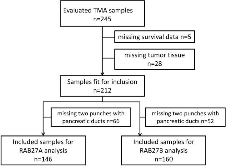 https://cdn.ncbi.nlm.nih.gov/pmc/blobs/cdfe/10473075/4c6f757d3aaa/cbm-37-cbm220460-g001.jpg