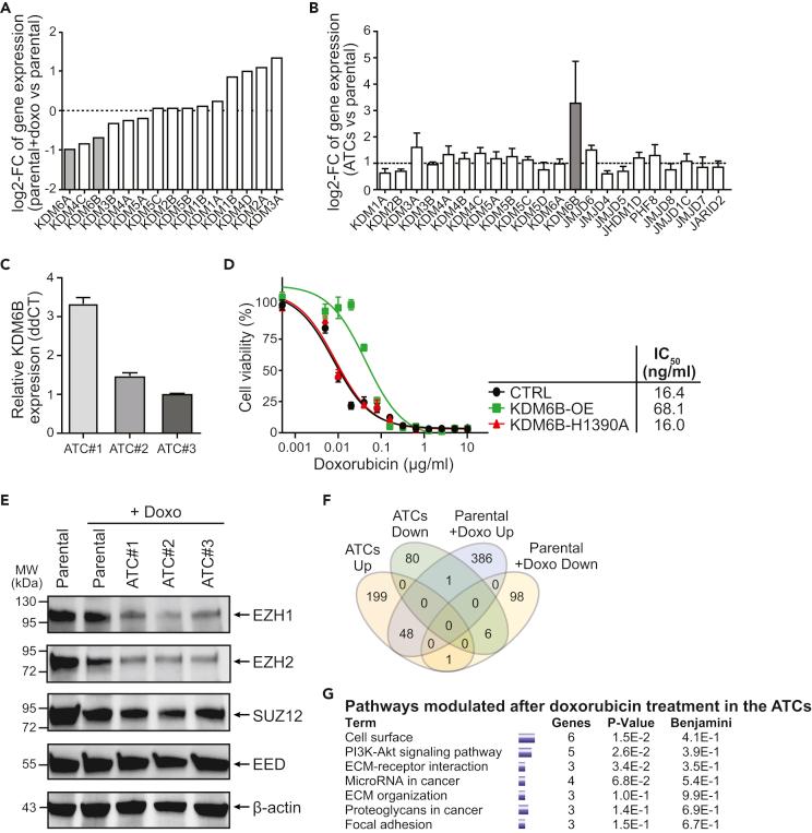 https://cdn.ncbi.nlm.nih.gov/pmc/blobs/ce04/9463578/ebba20c35b0a/gr3.jpg