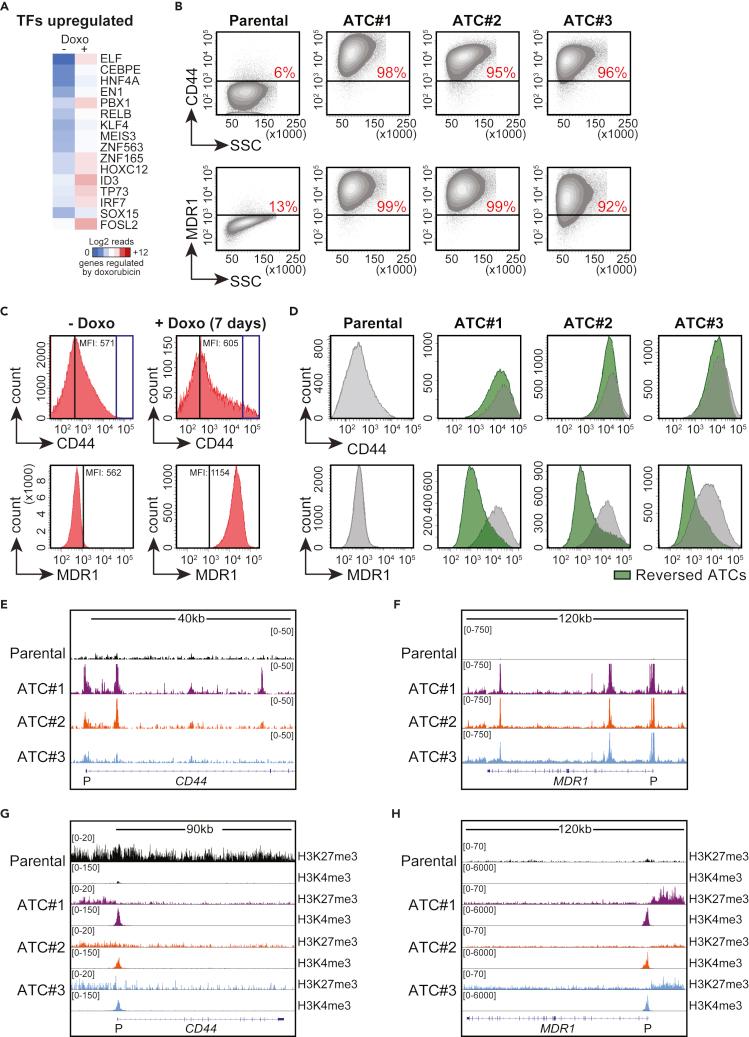 https://cdn.ncbi.nlm.nih.gov/pmc/blobs/ce04/9463578/f0f8ec0416c1/gr4.jpg
