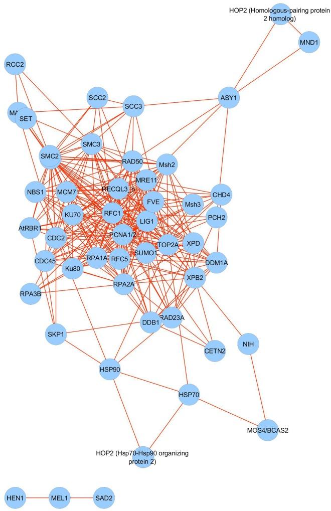 https://cdn.ncbi.nlm.nih.gov/pmc/blobs/ce05/6454111/305407f357da/fpls-10-00393-g006.jpg