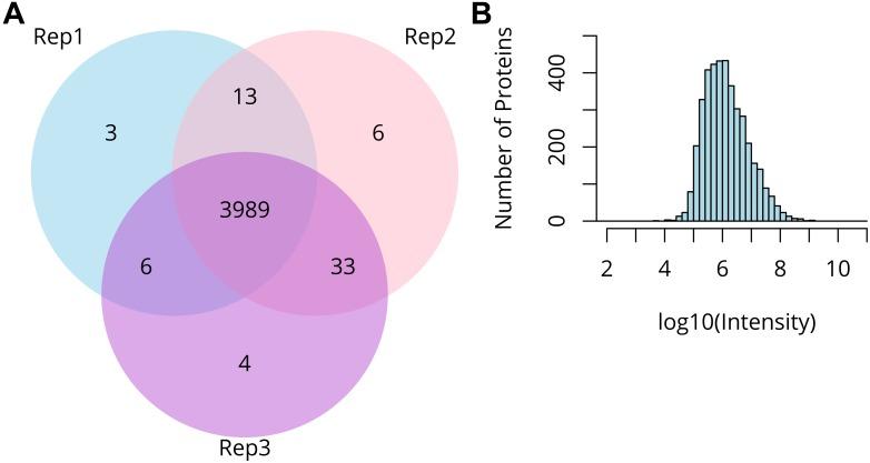 https://cdn.ncbi.nlm.nih.gov/pmc/blobs/ce05/6454111/7c3ca28a2ca4/fpls-10-00393-g003.jpg