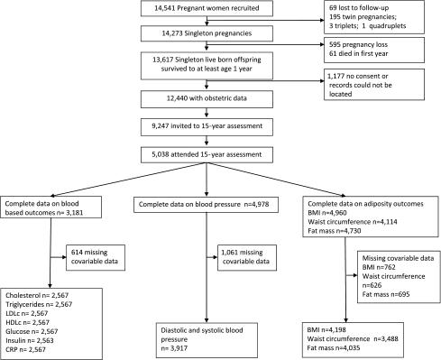 https://cdn.ncbi.nlm.nih.gov/pmc/blobs/ce06/3241309/bc9d53115f4a/63fig1.jpg