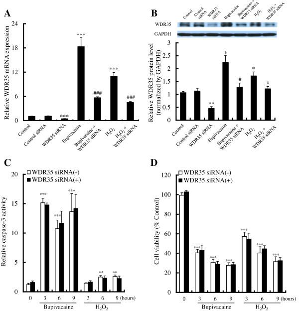 https://cdn.ncbi.nlm.nih.gov/pmc/blobs/ce08/3541351/0f90e0065567/1471-2202-13-149-5.jpg