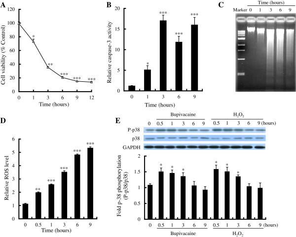 https://cdn.ncbi.nlm.nih.gov/pmc/blobs/ce08/3541351/4baf7c9ae80b/1471-2202-13-149-1.jpg