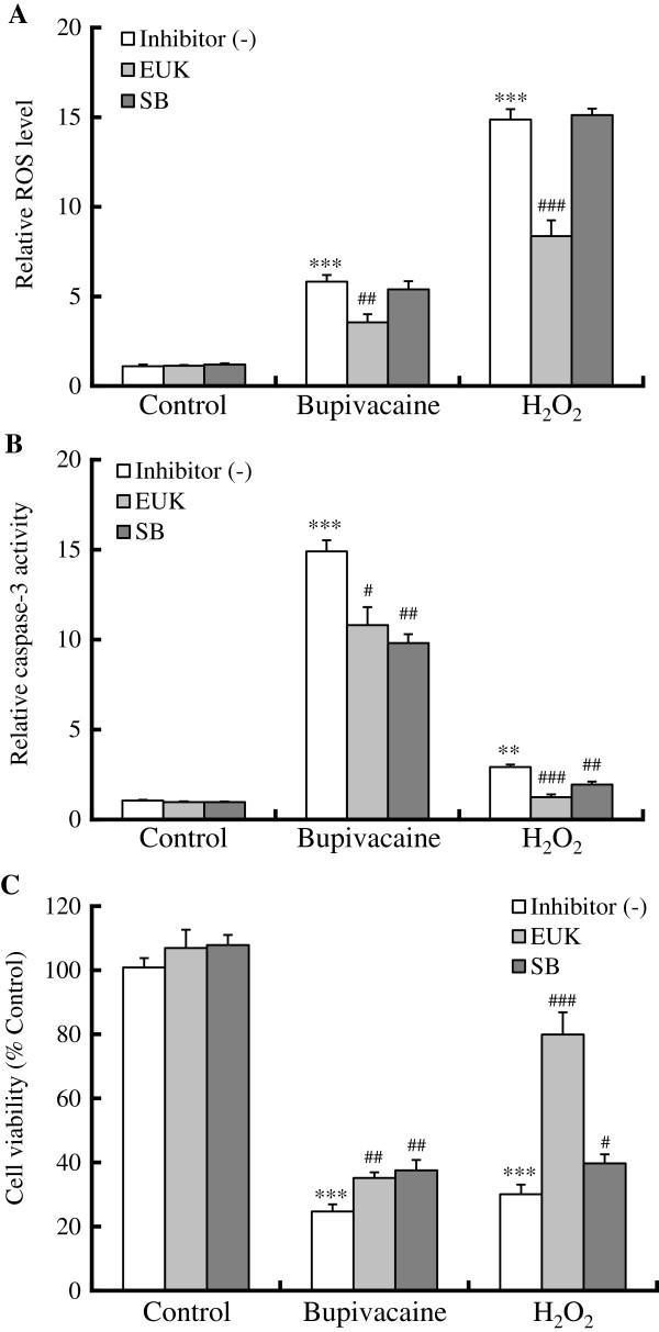 https://cdn.ncbi.nlm.nih.gov/pmc/blobs/ce08/3541351/f26d1dd35c4c/1471-2202-13-149-3.jpg