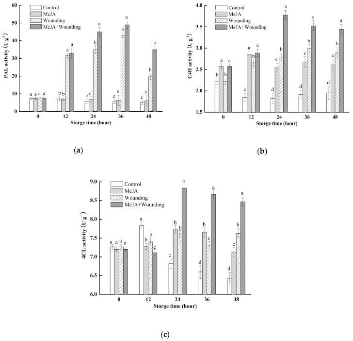 https://cdn.ncbi.nlm.nih.gov/pmc/blobs/ce0a/6804049/37cafd4ca055/molecules-24-03537-g005.jpg