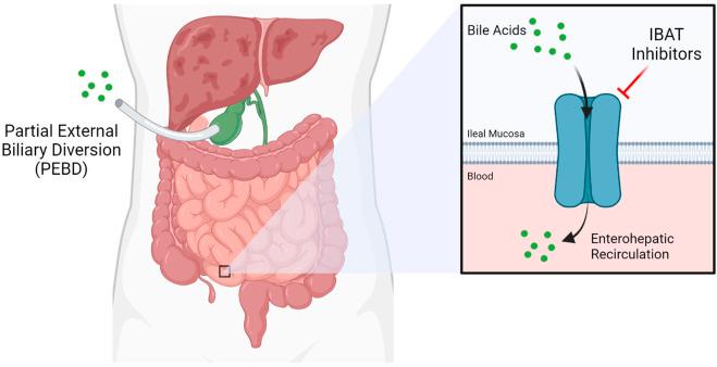 https://cdn.ncbi.nlm.nih.gov/pmc/blobs/ce0b/8419306/ab579fab5baf/fphar-12-704586-g001.jpg