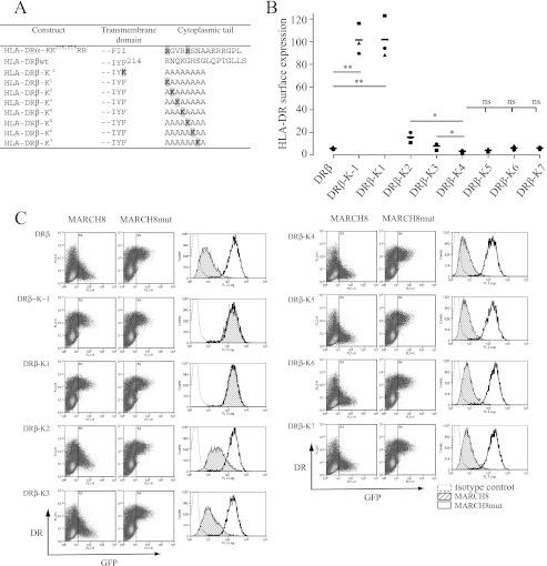 https://cdn.ncbi.nlm.nih.gov/pmc/blobs/ce0d/3436574/2cf316443b01/zbc0371220590003.jpg