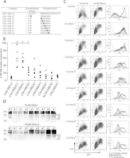 https://cdn.ncbi.nlm.nih.gov/pmc/blobs/ce0d/3436574/6fed464ad0bf/zbc0371220590002.jpg