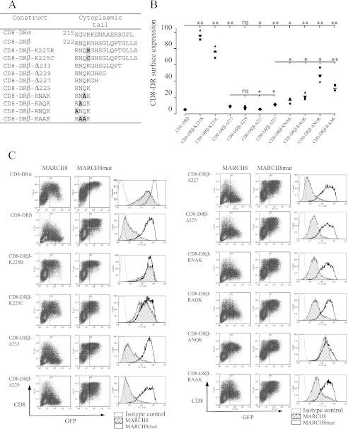 https://cdn.ncbi.nlm.nih.gov/pmc/blobs/ce0d/3436574/97167ca6f221/zbc0371220590001.jpg