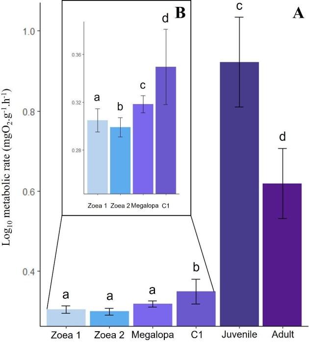 https://cdn.ncbi.nlm.nih.gov/pmc/blobs/ce0e/12280276/eac73ccbb68c/obaf027fig3.jpg