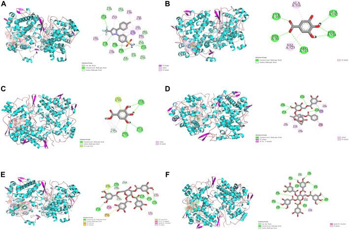 https://cdn.ncbi.nlm.nih.gov/pmc/blobs/ce0f/10880116/36557fae0c7e/fphar-15-1358640-g010.jpg
