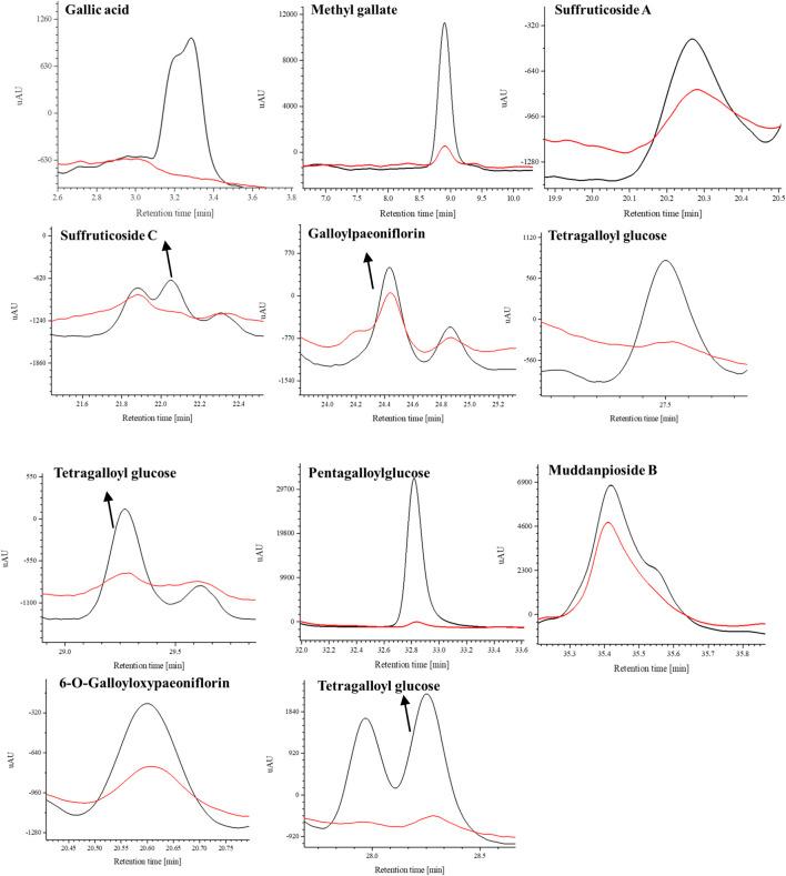 https://cdn.ncbi.nlm.nih.gov/pmc/blobs/ce0f/10880116/3fde6f0671a0/fphar-15-1358640-g005.jpg