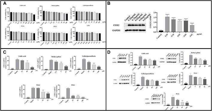 https://cdn.ncbi.nlm.nih.gov/pmc/blobs/ce0f/10880116/876a87a8d500/fphar-15-1358640-g008.jpg