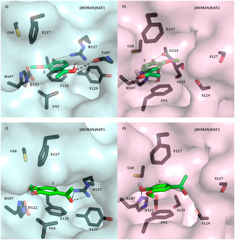 https://cdn.ncbi.nlm.nih.gov/pmc/blobs/ce0f/4886258/d13290598530/srep26906-f5.jpg
