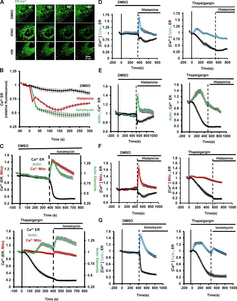 https://cdn.ncbi.nlm.nih.gov/pmc/blobs/ce0f/5748994/16754704fab5/JCB_201709111_Fig2.jpg