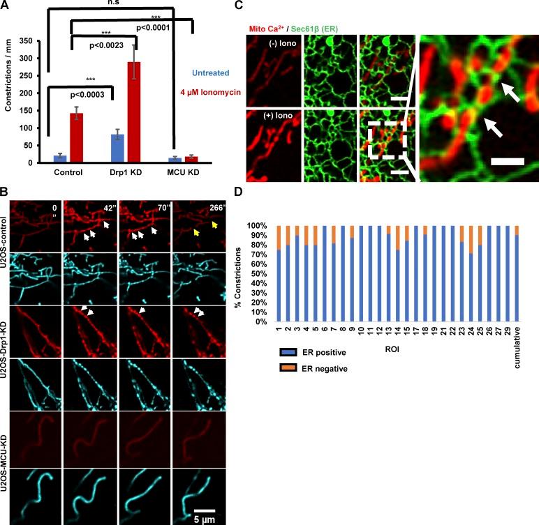https://cdn.ncbi.nlm.nih.gov/pmc/blobs/ce0f/5748994/5ffc5b898492/JCB_201709111_Fig7.jpg