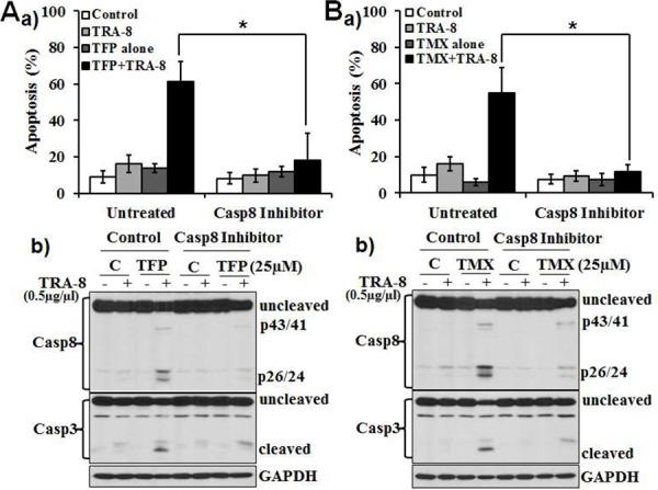 https://cdn.ncbi.nlm.nih.gov/pmc/blobs/ce12/4694833/3a69a753c9d5/oncotarget-06-25308-g002.jpg