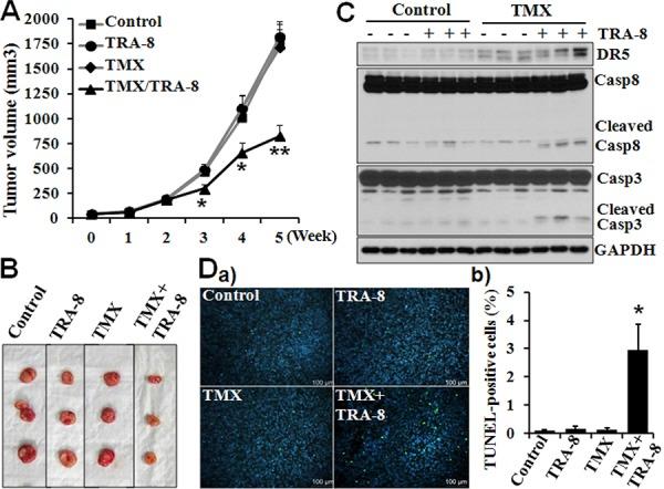 https://cdn.ncbi.nlm.nih.gov/pmc/blobs/ce12/4694833/64840dfb2467/oncotarget-06-25308-g007.jpg