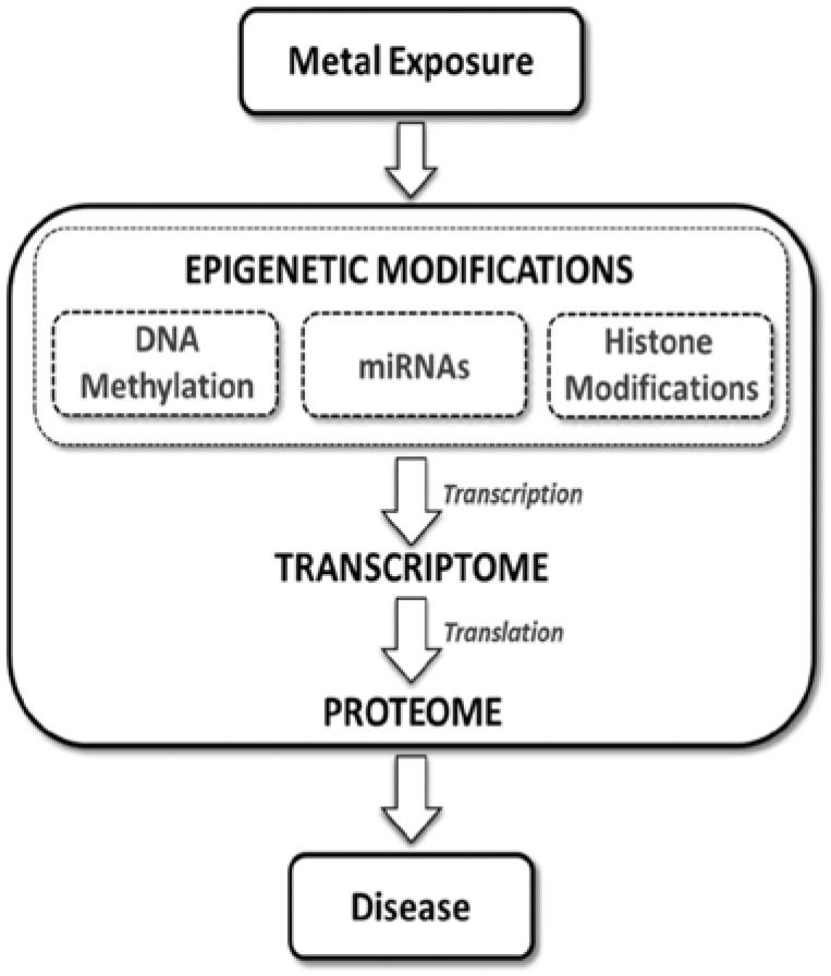 https://cdn.ncbi.nlm.nih.gov/pmc/blobs/ce13/4311387/ddc1f354b41d/CG-15-420_F4.jpg