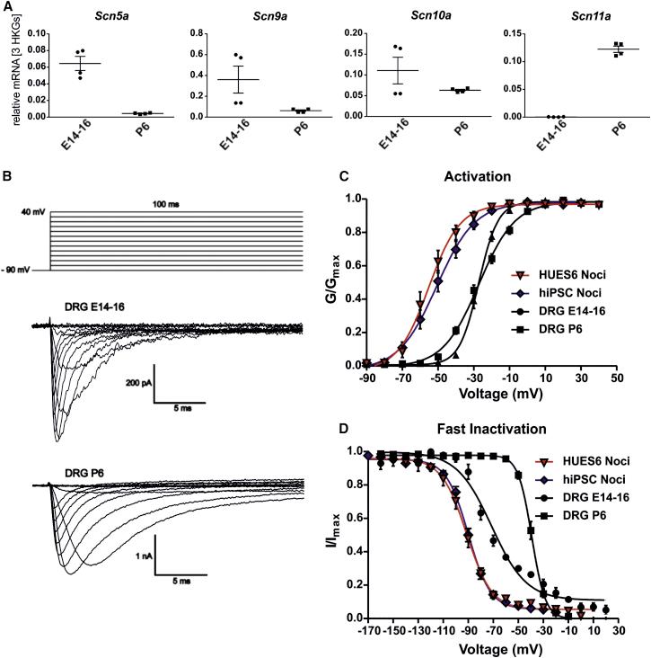 https://cdn.ncbi.nlm.nih.gov/pmc/blobs/ce13/4618592/3f116b603311/gr3.jpg