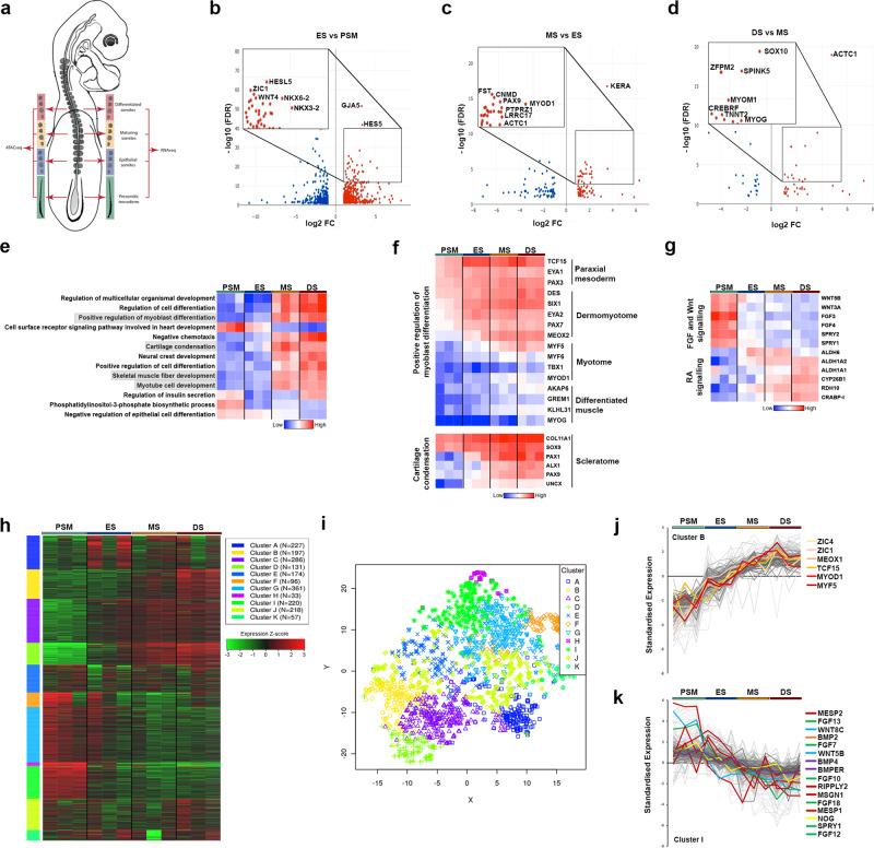 https://cdn.ncbi.nlm.nih.gov/pmc/blobs/ce13/7895974/d24039702d43/41467_2021_21426_Fig1_HTML.jpg