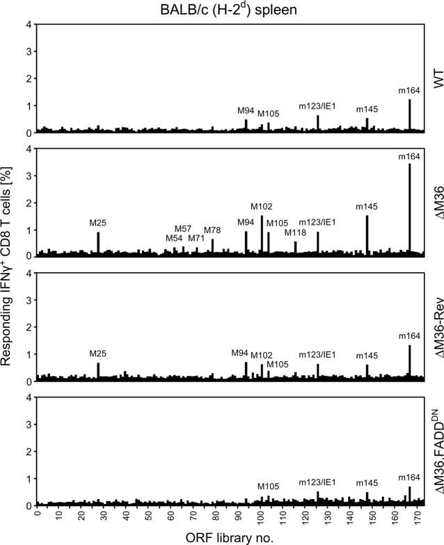 https://cdn.ncbi.nlm.nih.gov/pmc/blobs/ce14/11349235/1409f344fa01/ppat.1012173.g005.jpg