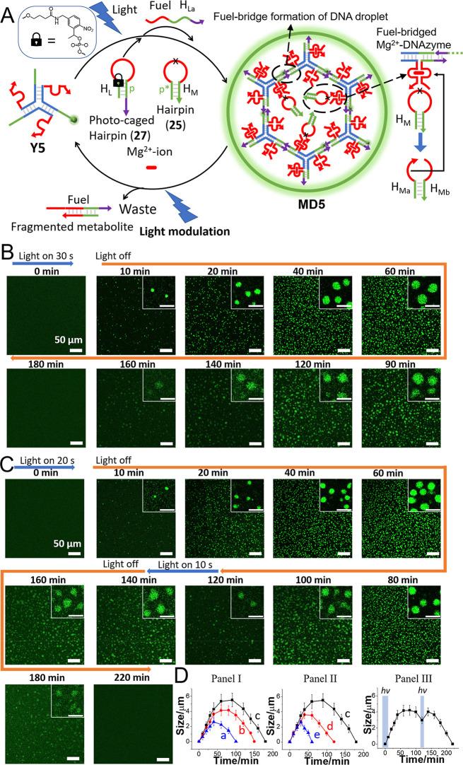 https://cdn.ncbi.nlm.nih.gov/pmc/blobs/ce14/12082633/87e09b28c818/ja5c00637_0006.jpg