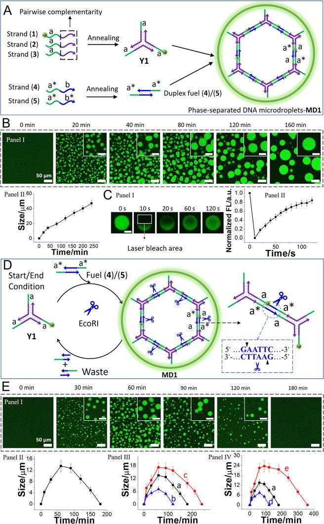 https://cdn.ncbi.nlm.nih.gov/pmc/blobs/ce14/12082633/cbeb958527d7/ja5c00637_0001.jpg