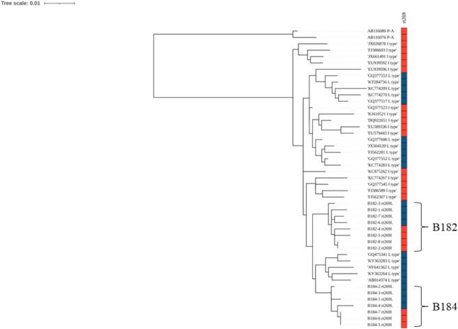 https://cdn.ncbi.nlm.nih.gov/pmc/blobs/ce15/11920224/65af912205f1/41598_2025_94286_Fig3_HTML.jpg