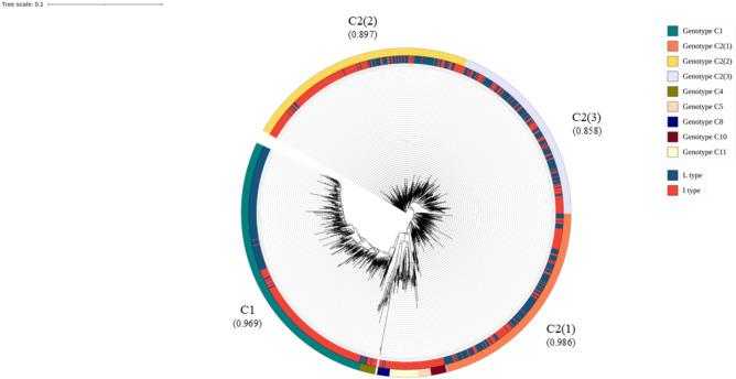 https://cdn.ncbi.nlm.nih.gov/pmc/blobs/ce15/11920224/ce721385ea53/41598_2025_94286_Fig1_HTML.jpg