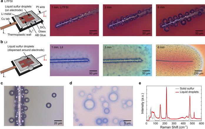 https://cdn.ncbi.nlm.nih.gov/pmc/blobs/ce17/12369013/ec511556e9ba/nn5c09160_0001.jpg