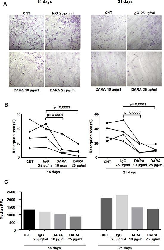 https://cdn.ncbi.nlm.nih.gov/pmc/blobs/ce17/5593586/4f34ffc932a3/oncotarget-08-56598-g006.jpg