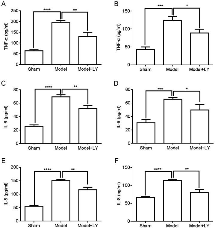 https://cdn.ncbi.nlm.nih.gov/pmc/blobs/ce18/8018183/d8b10eaf31e5/IJMM-47-05-04920-g07.jpg