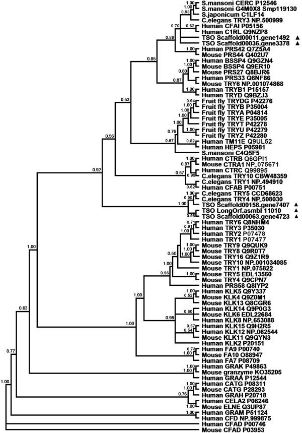 https://cdn.ncbi.nlm.nih.gov/pmc/blobs/ce19/4070553/253f49b15a40/12864_2013_6143_Fig3_HTML.jpg