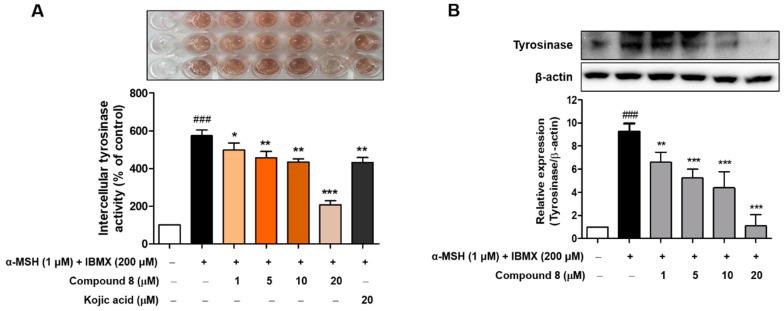 https://cdn.ncbi.nlm.nih.gov/pmc/blobs/ce1a/7700175/660029202357/molecules-25-05460-g007.jpg