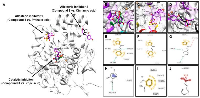 https://cdn.ncbi.nlm.nih.gov/pmc/blobs/ce1a/7700175/d21ad07517b0/molecules-25-05460-g003.jpg