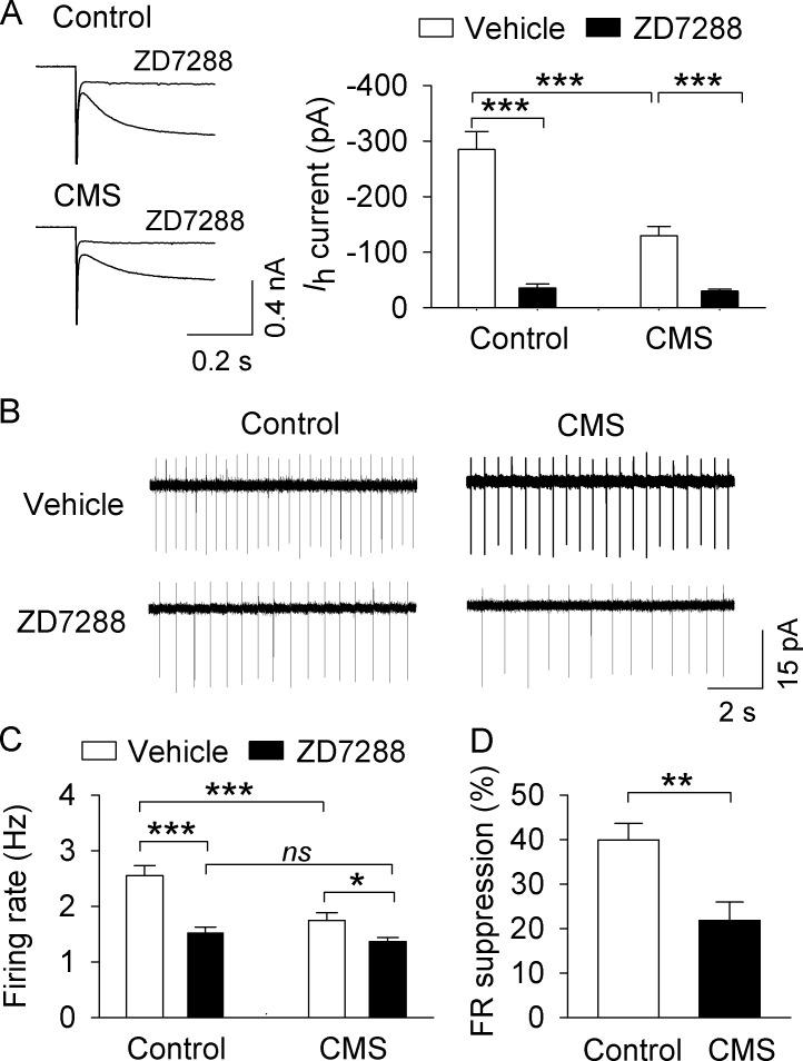 https://cdn.ncbi.nlm.nih.gov/pmc/blobs/ce1c/5749952/e504c7eaa8bb/elife-32420-fig5.jpg
