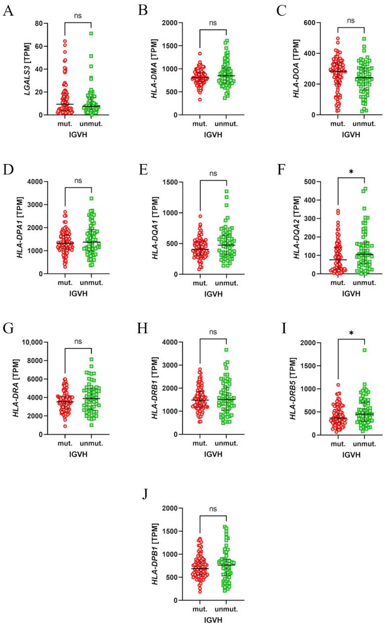 https://cdn.ncbi.nlm.nih.gov/pmc/blobs/ce1f/11941621/f223e2057436/cells-14-00451-g006.jpg